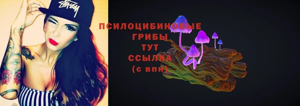 PSILOCYBIN Богданович